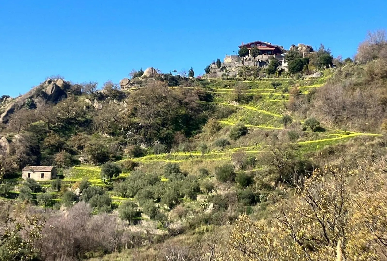 Vista Alcantara - Wellness Mountain-Top Retreat Motta Camastra